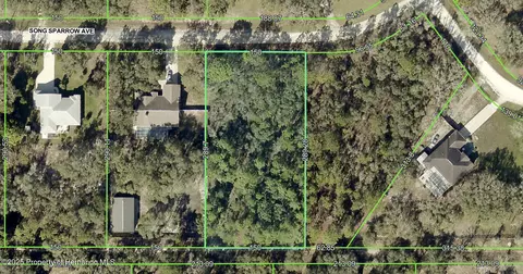 11114 Song Sparrow Ave, Weeki Wachee, FL 34614