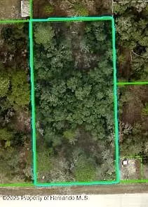 0 Mississippi Kite Ave, Weeki Wachee, FL 34614
