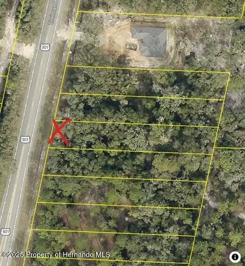 7446 Treiman Blvd, Webster, FL 33597 photo 5