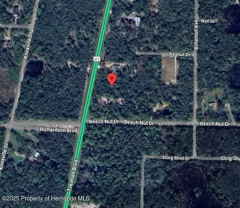 7446 Treiman Blvd, Webster, FL 33597 photo 4