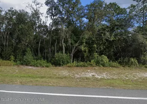 7446 Treiman Blvd, Webster, FL 33597