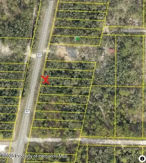 7446 Treiman Blvd, Webster, FL 33597 photo 6