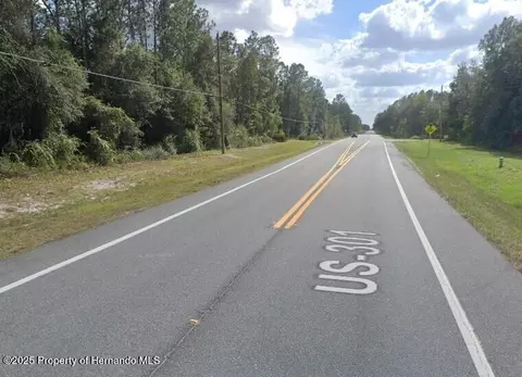 7446 Treiman Blvd, Webster, FL 33597 photo 3