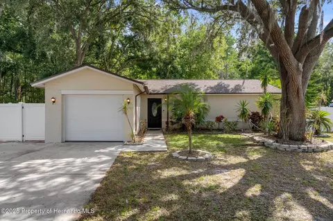 13923 Pathfinder Dr, Tampa, FL 33625