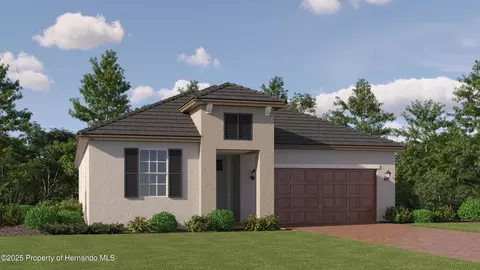 16962 Warm Hand Ct, Land O' Lakes, FL 34638