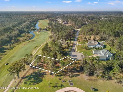 20132 English Walnut Pl, Brooksville, FL 34601
