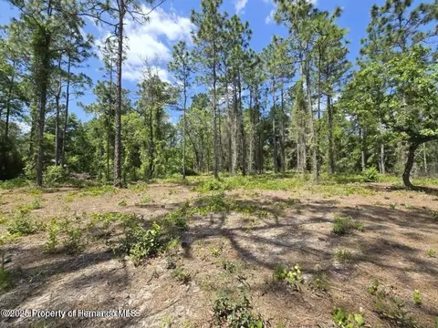 0 Catbird Rd, Weeki Wachee, FL 34614