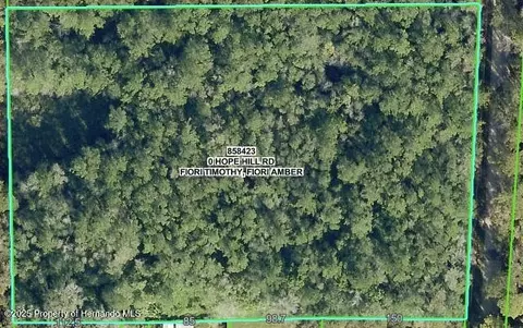 0 Hope Hill Rd, Brooksville, FL 34601