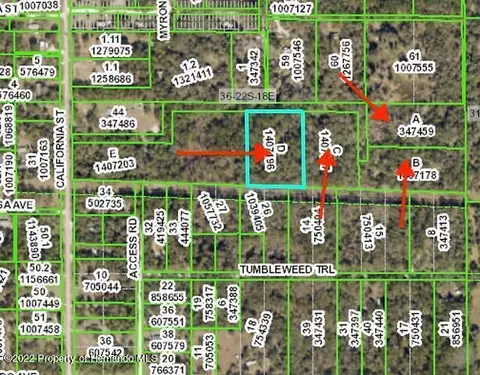 0 Texas Trl, Spring Hill, FL 34604