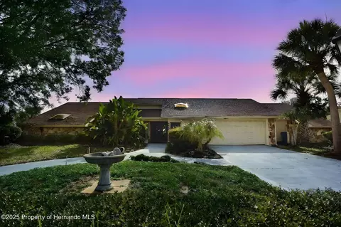 4269 River Birch Dr, Weeki Wachee, FL 34607