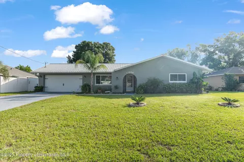 11226 Murraysville Dr, Spring Hill, FL 34609