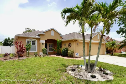 2801 Banner Stone Ct, Holiday, FL 34691