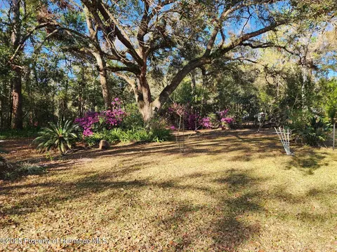 16227 Tascosa Ave, Brooksville, FL 34613