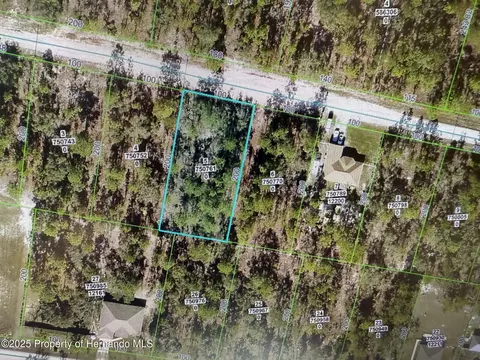 12180 Scarlet Ibis Ave, Weeki Wachee, FL 34614