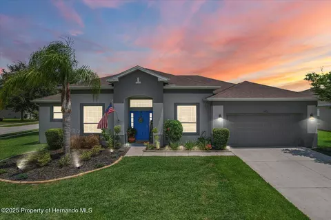 13365 Chesapeake Pl, Spring Hill, FL 34609