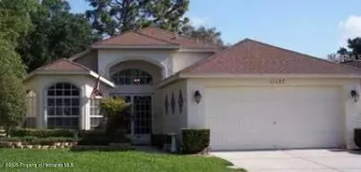 11127 Heathrow Ave, Spring Hill, FL 34609