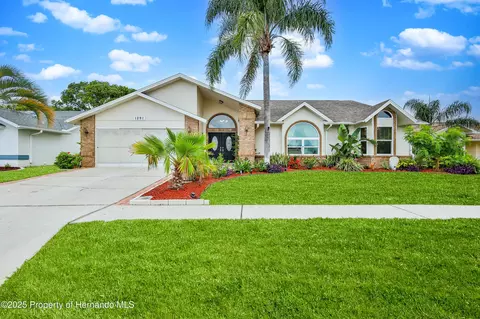 1291 Masada Ln, Spring Hill, FL 34608