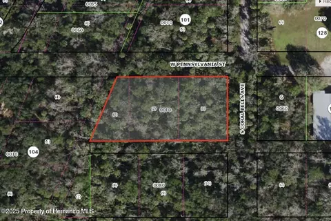 0 Dunn Pennsylvania St, Homosassa, FL 34448