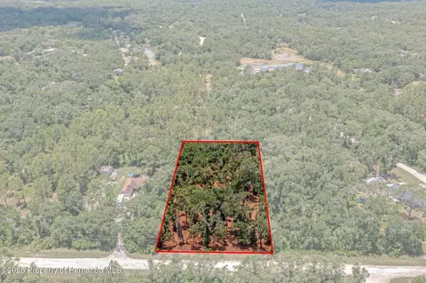 00 Ruby Ave, Webster, FL 33597