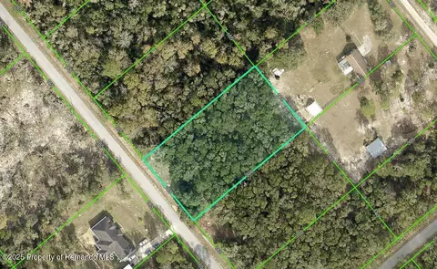 7246 Norman St, Webster, FL 33597
