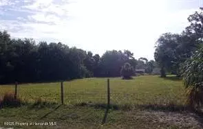 0 Redfish St, Hudson, FL 34667