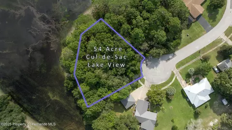 . Lakeview Court, Spring Hill, FL 34608