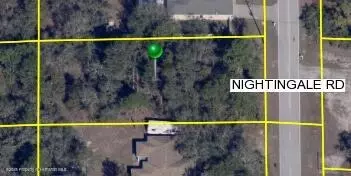 8237 Nightingle Rd, Weeki Wachee, FL 34613