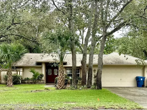 7928 Rhanbouy Rd, Spring Hill, FL 34606