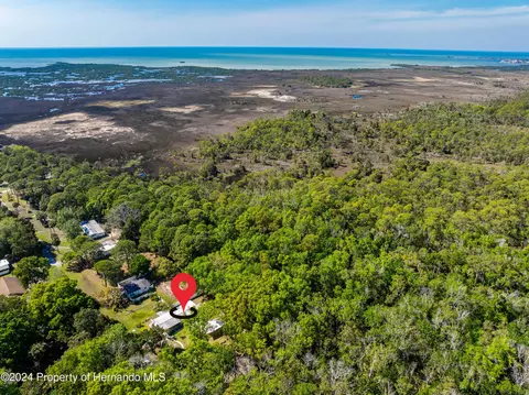 3405 Fremont Ln, Spring Hill, FL 34607 photo 43