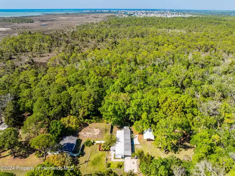 3405 Fremont Ln, Spring Hill, FL 34607 photo 20