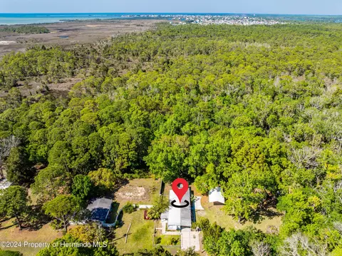 3405 Fremont Ln, Spring Hill, FL 34607 photo 23