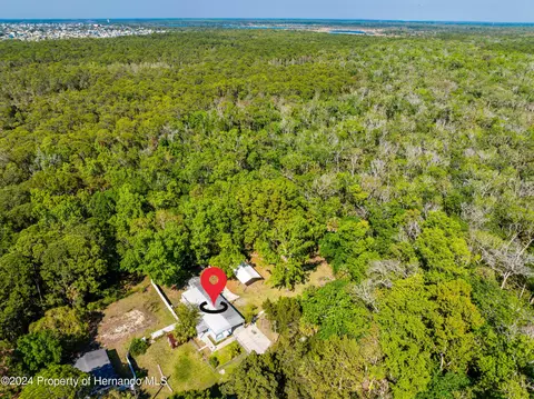 3405 Fremont Ln, Spring Hill, FL 34607 photo 17