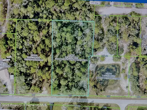 0 Fulton Ave, Weeki Wachee, FL 34613