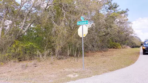 2146 Richloam Ln, Shady Hills, FL 34610
