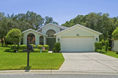 11378 Deercroft Ct, Spring Hill, FL 34609 photo 1