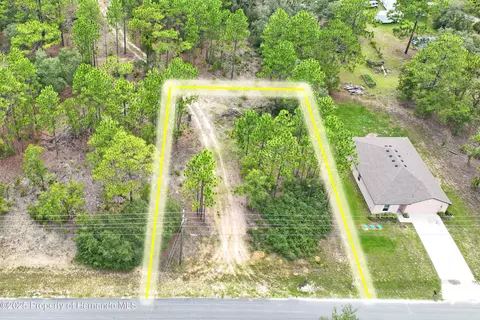 9542 N Paradisea Dr, Citrus Springs, FL 34433