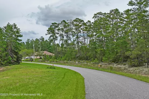 8541 N Newmark Way, Dunnellon, FL 34433