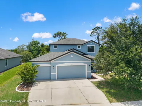 19820 Lonesome Pine Dr, Land O'lakes, FL 34638