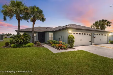 29533 Fade Ct, San Antonio, FL 33576