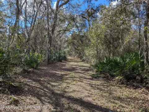 9001 Treiman Blvd, Webster, FL 33597