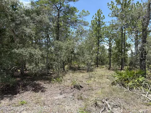 12179 Scarlet Ibis Avenue Ave, Brooksville, FL 34614