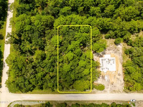 13304 Canada Goose Rd, Weeki Wachee, FL 34614