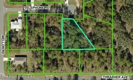 11334 Telephone Rd, Brooksville, FL 34614