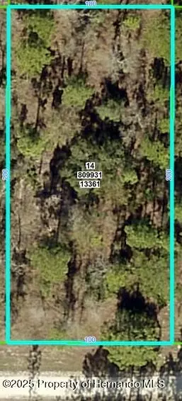 13361 Schick Ave, Weeki Wachee, FL 34614