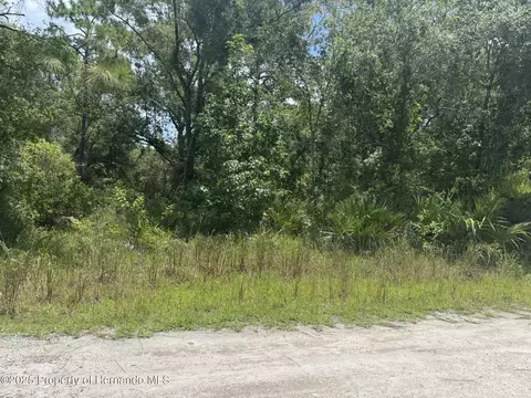 00 Lisle St, New Port Richey, FL 34653
