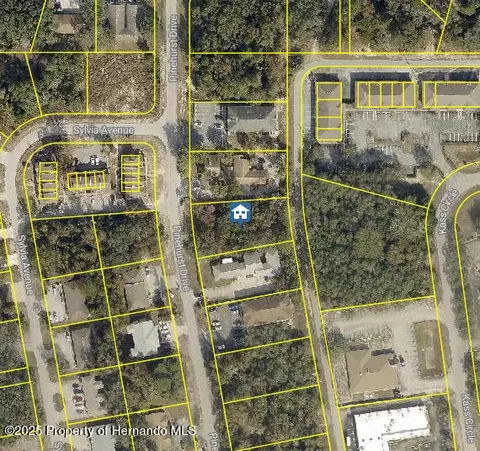 lot8 Pinehurst Dr, Spring Hill, FL 34608