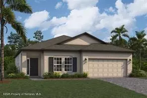 2388 Kalina Dr, Spring Hill, FL 34609