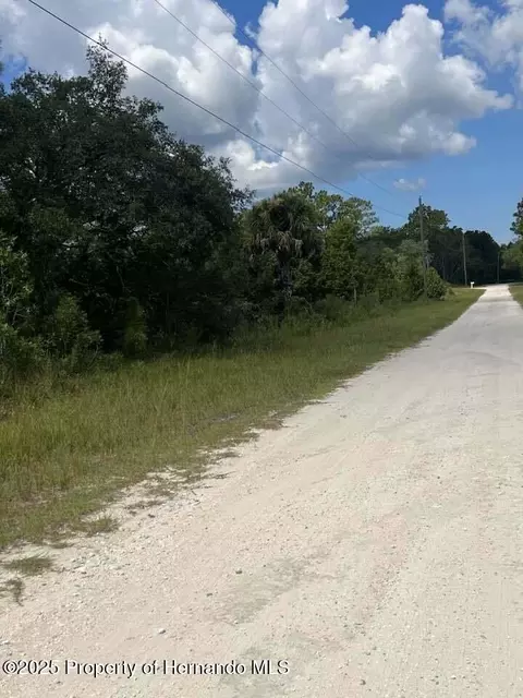 00 Yellow Frog Ave, Brooksville, FL 34614