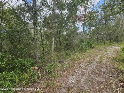 0 Alford Ln, Spring Hill, FL 34610