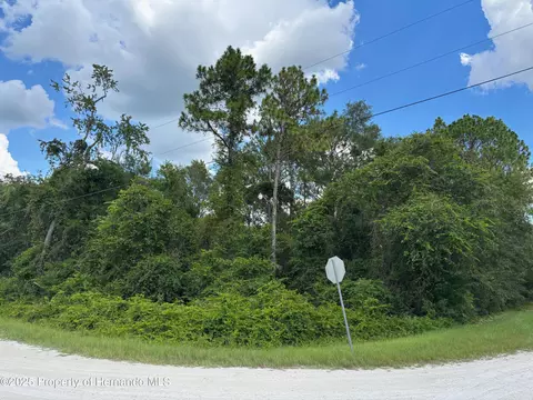 lot1 Canvasback Rd, Weeki Wachee, FL 34614
